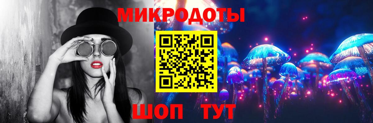 Выборг  закладка  Вход с VPN  Псилоцибиновые грибы мицелий  Галлюциногенные грибы мицелий 